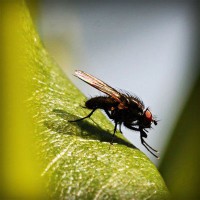 /album/rossijskaja-impjerija/photolia-a04-jpg/