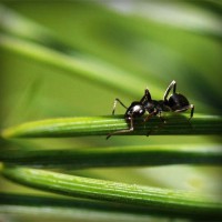 /album/rossijskaja-impjerija/photolia-a05-jpg/
