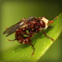 /album/rossijskaja-impjerija/photolia-a06-jpg/