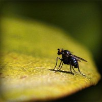/album/rossijskaja-impjerija/photolia-a07-jpg/